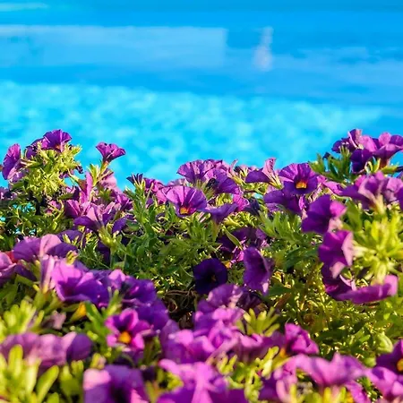 Liogerma Daire Trapezaki (Kefalonia)