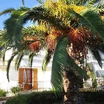 Liogerma * Τραπεζάκι