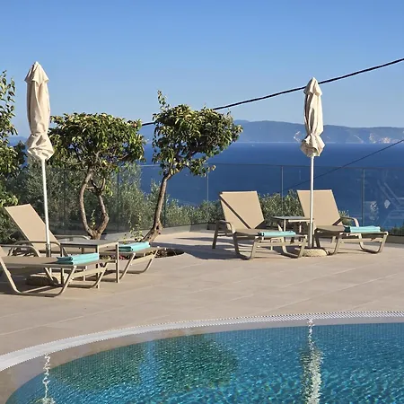 Liogerma ترابيزاكي